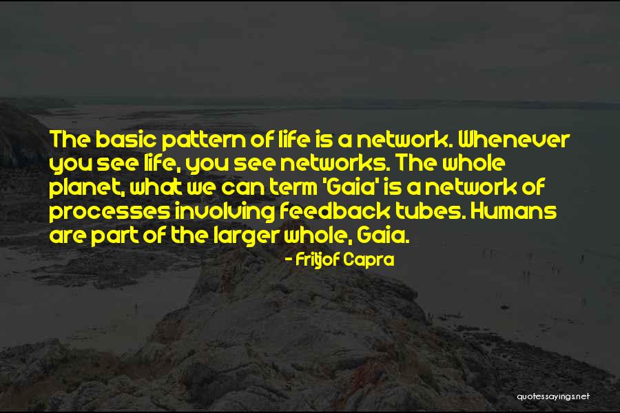 Fritjof Capra Quotes 1805722