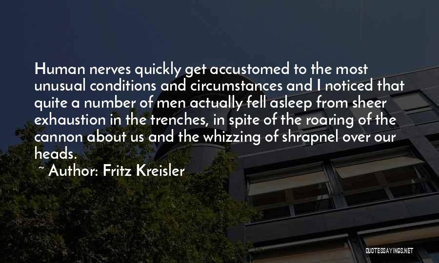 Fritz Kreisler Quotes 700491