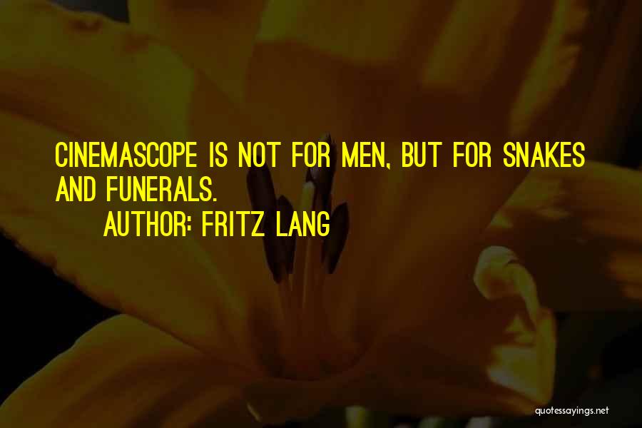 Fritz Lang Quotes 617266