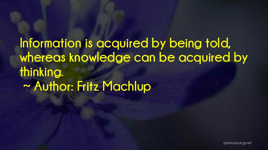 Fritz Machlup Quotes 1526848