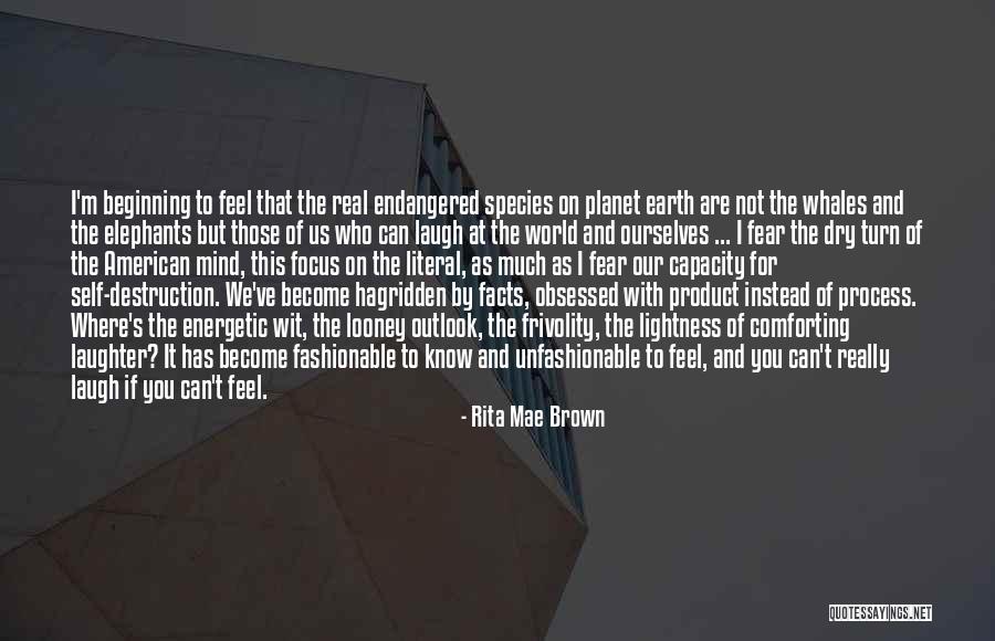 Frivolity Quotes By Rita Mae Brown Frivolity Quotes By Rita Mae Brown