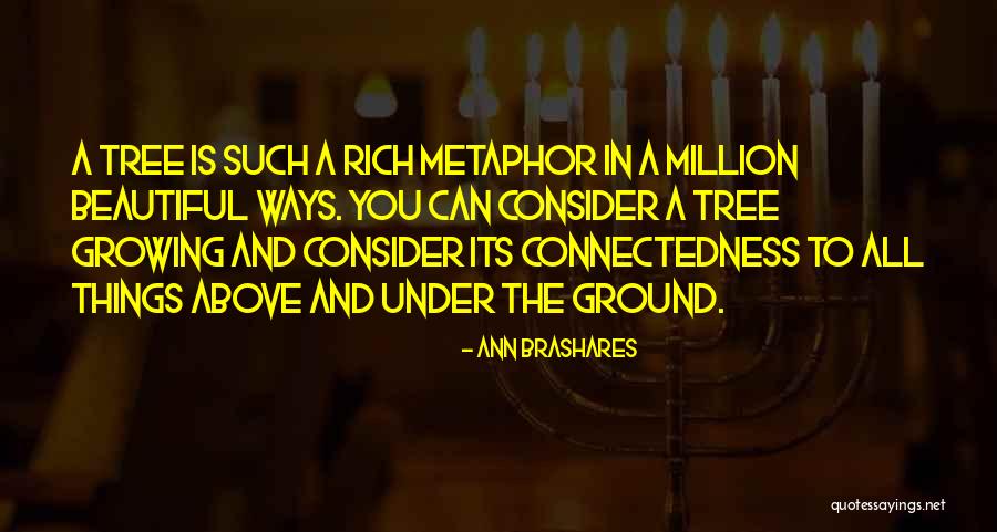 Frizzed Out Quotes By Ann Brashares Frizzed Out Quotes By Ann Brashares