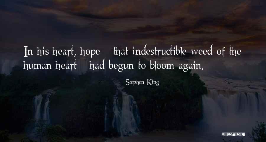 Frocked Tree Quotes By Stephen King Frocked Tree Quotes By Stephen King