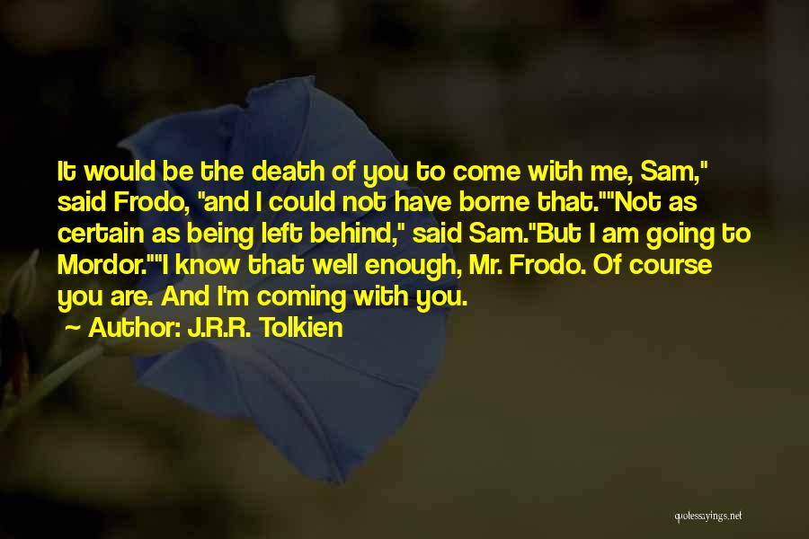 Frodo Baggins Quotes By J.R.R. Tolkien