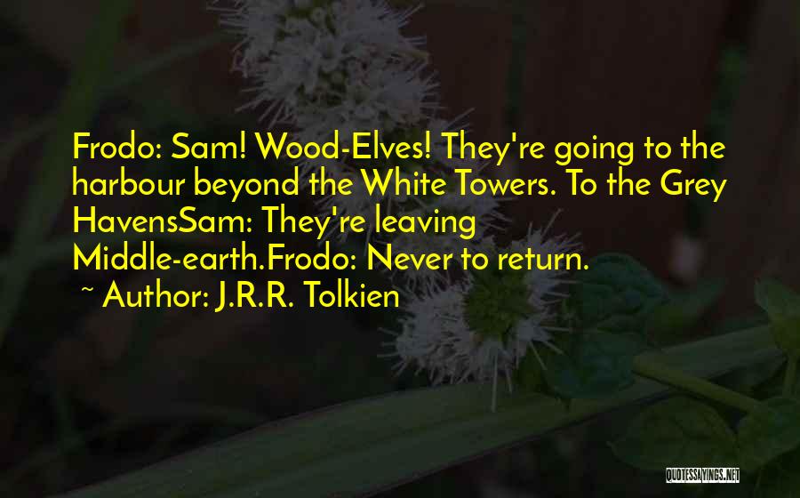 Frodo Baggins Quotes By J.R.R. Tolkien