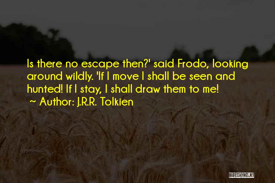 Frodo Baggins Quotes By J.R.R. Tolkien