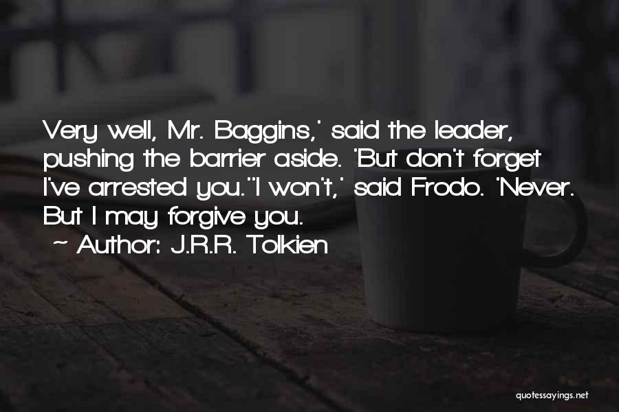 Frodo Baggins Quotes By J.R.R. Tolkien