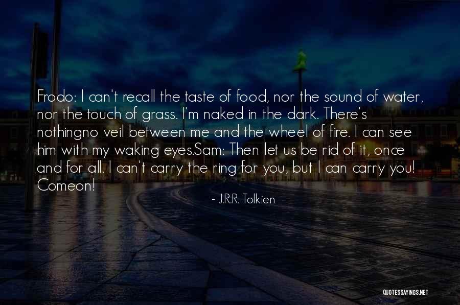 Frodo Return Of The King Quotes By J.R.R. Tolkien Frodo Return Of The King Quotes By J.R.R. Tolkien