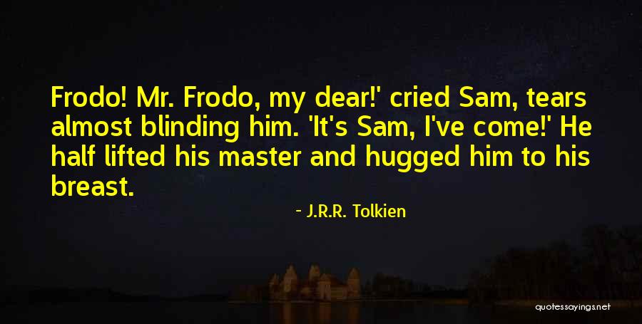 Frodo Return Of The King Quotes By J.R.R. Tolkien Frodo Return Of The King Quotes By J.R.R. Tolkien