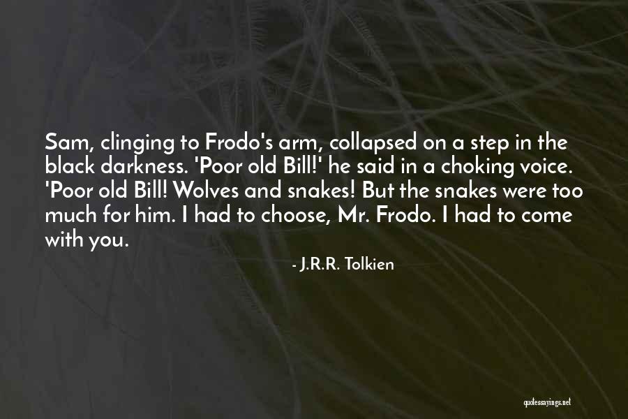 Frodo To Sam Quotes By J.R.R. Tolkien