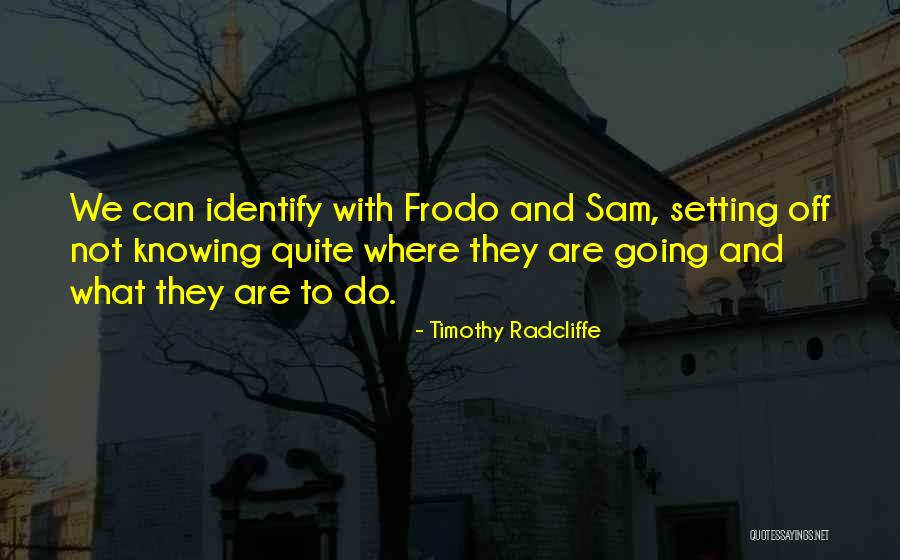 Frodo To Sam Quotes By Timothy Radcliffe