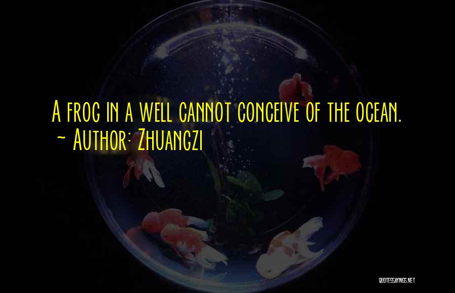 Frog In The Well Quotes By Zhuangzi