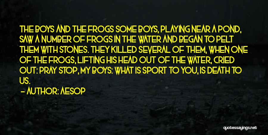 Frogs Quotes By Aesop