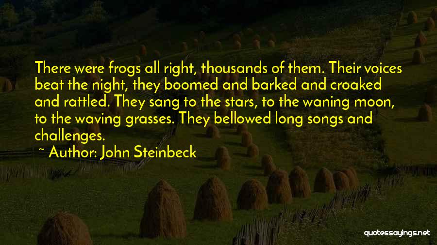 Frogs Quotes By John Steinbeck