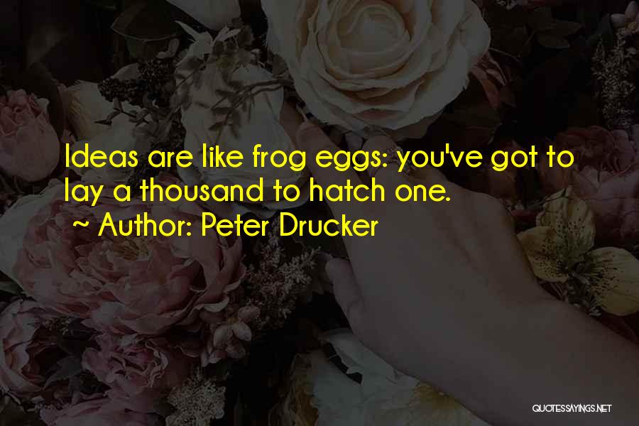 Frogs Quotes By Peter Drucker