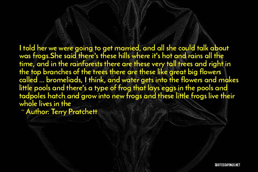 Frogs Quotes By Terry Pratchett