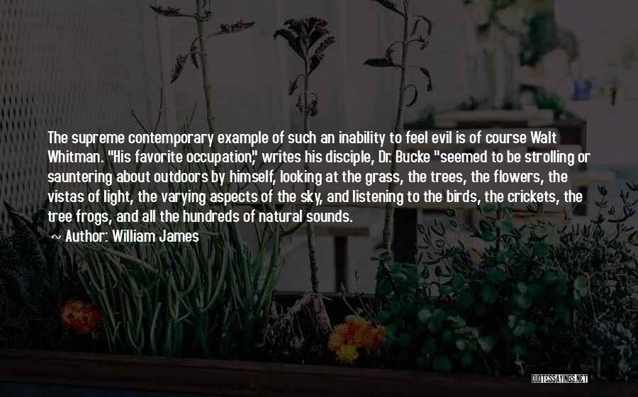 Frogs Quotes By William James