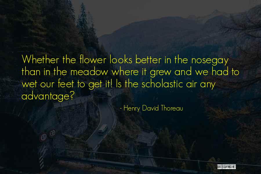 Frohwein Tires Quotes By Henry David Thoreau Frohwein Tires Quotes By Henry David Thoreau