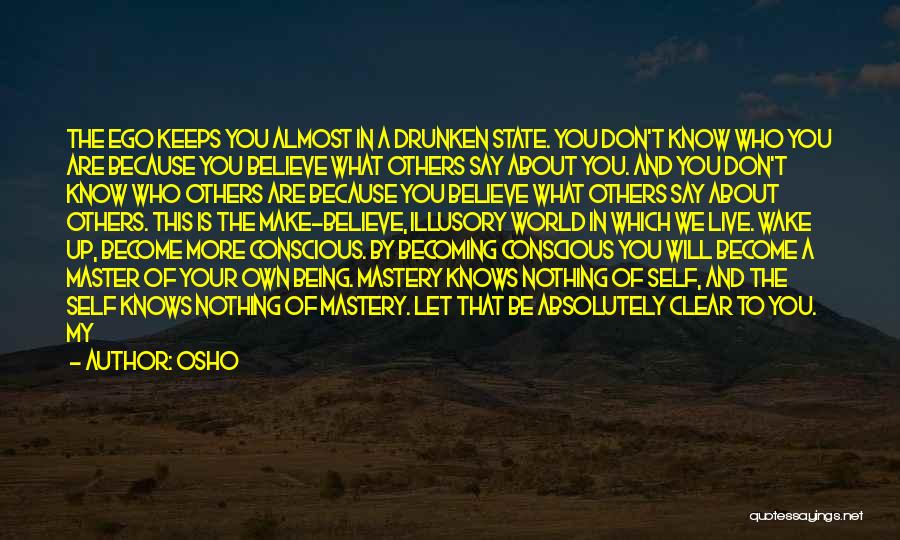 Froling Pellet Quotes By Osho