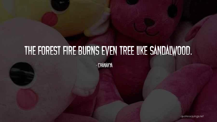Frolova Alina Quotes By Chanakya Frolova Alina Quotes By Chanakya