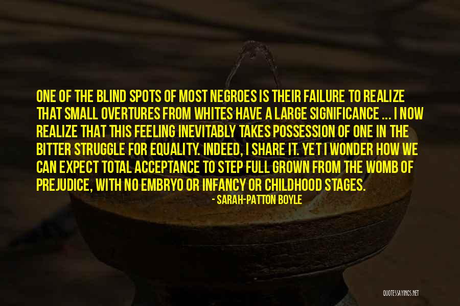 From Failure Quotes By Sarah-Patton Boyle From Failure Quotes By Sarah-Patton Boyle