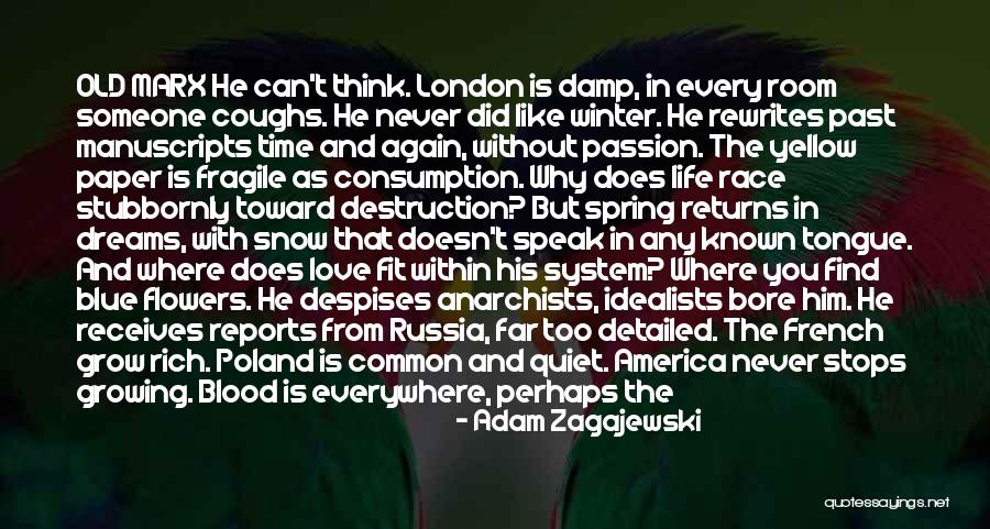 From Far From Why Quotes By Adam Zagajewski From Far From Why Quotes By Adam Zagajewski