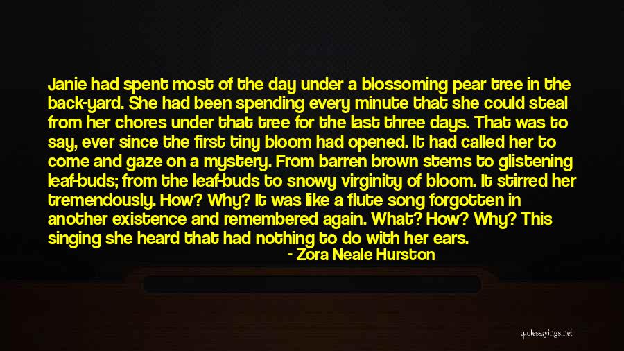 From First To Last Quotes By Zora Neale Hurston