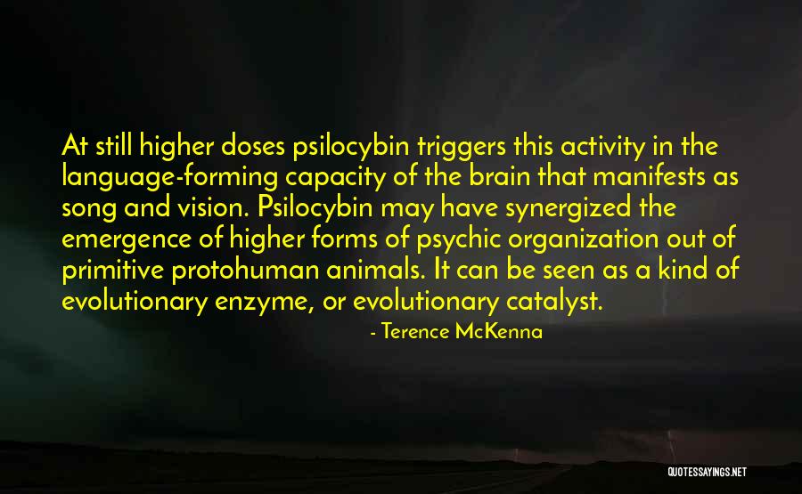 From His Song If 6 Were 9 Quotes By Terence McKenna From His Song If 6 Were 9 Quotes By Terence McKenna