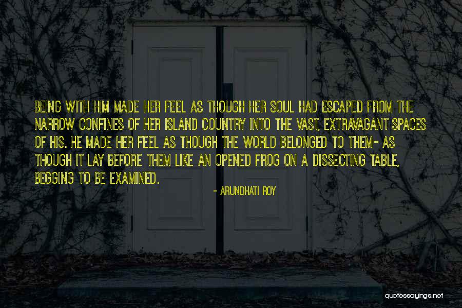 From Island To Island Quotes By Arundhati Roy From Island To Island Quotes By Arundhati Roy