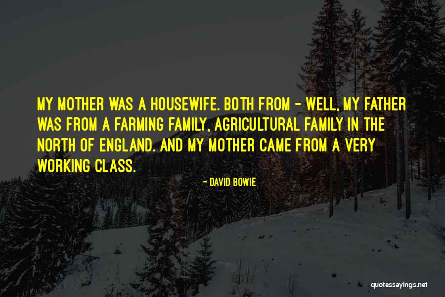 From Mother Quotes By David Bowie