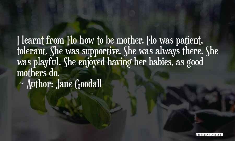 From Mother To Baby Quotes By Jane Goodall