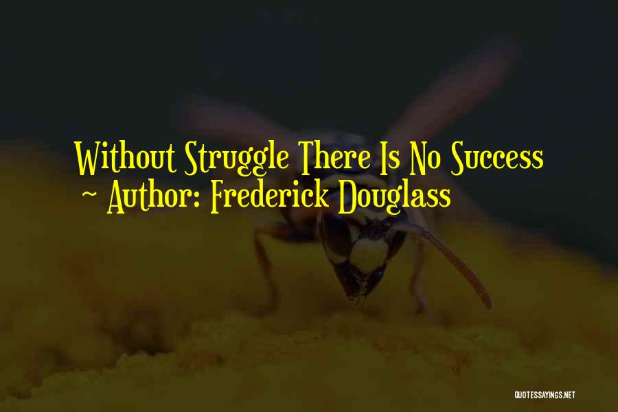 From Struggle Comes Success Quotes By Frederick Douglass