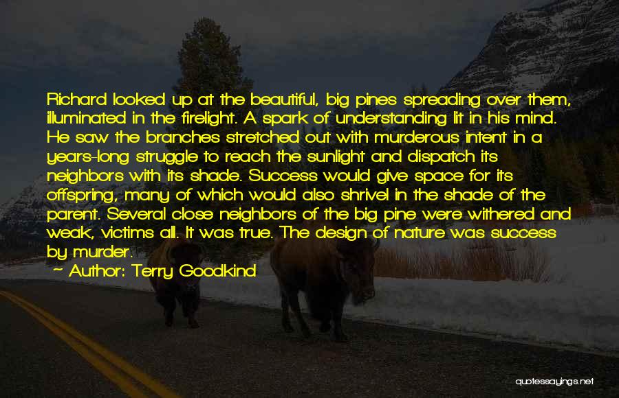 From Struggle Comes Success Quotes By Terry Goodkind