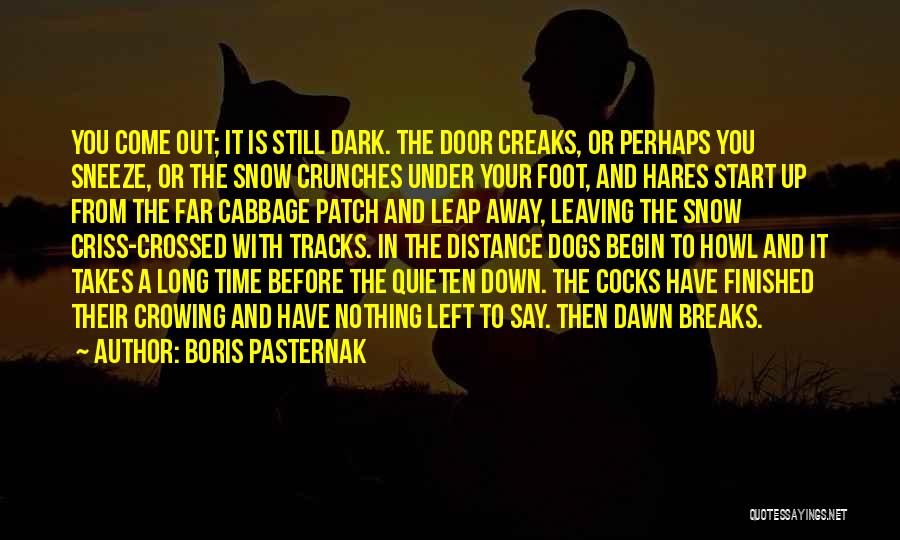 From The Dark To The Dawn Quotes By Boris Pasternak