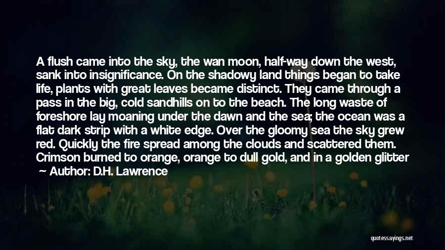 From The Dark To The Dawn Quotes By D.H. Lawrence