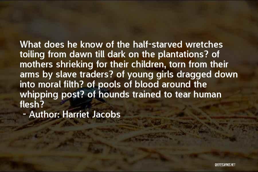 From The Dark To The Dawn Quotes By Harriet Jacobs