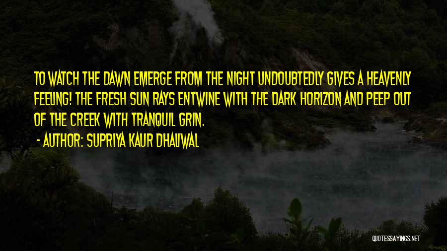 From The Dark To The Dawn Quotes By Supriya Kaur Dhaliwal