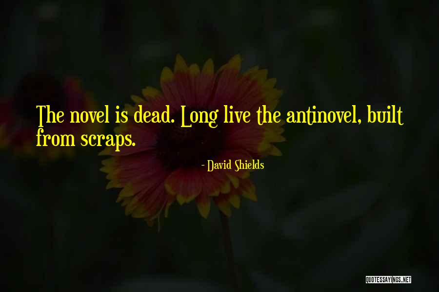 From The Novel Quotes By David Shields