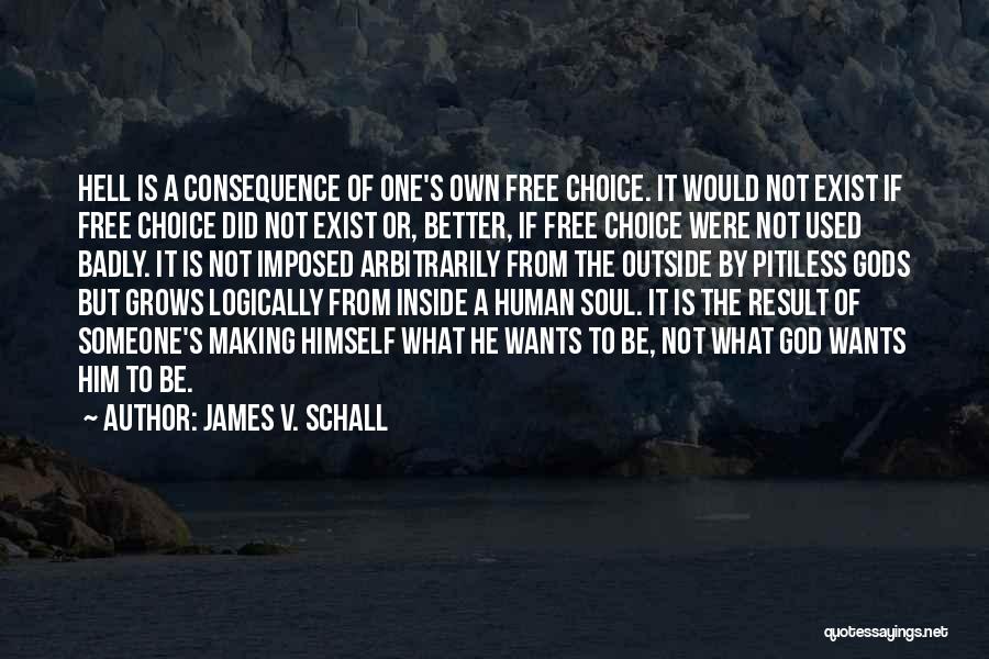 From The Outside Quotes By James V. Schall