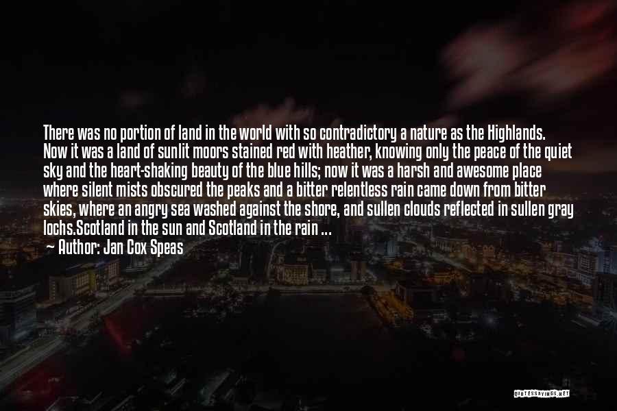 From The Sky Quotes By Jan Cox Speas