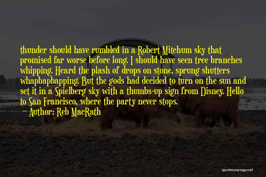 From The Sky Quotes By Reb MacRath