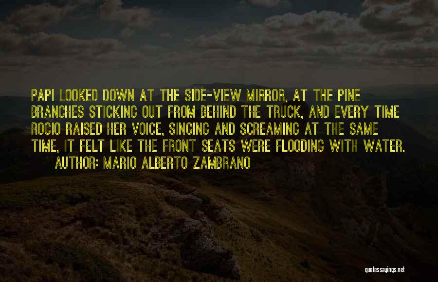 From The Water Quotes By Mario Alberto Zambrano