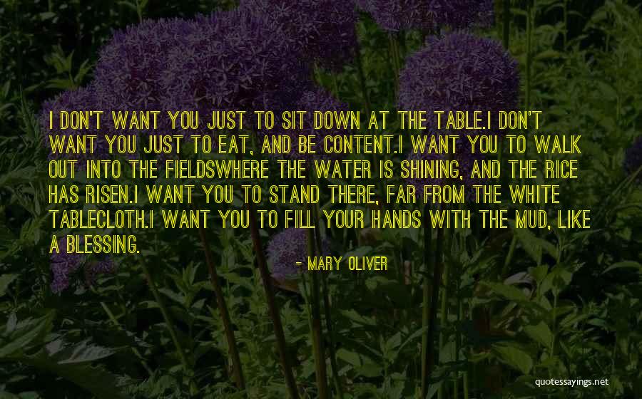 From Where I Stand Quotes By Mary Oliver From Where I Stand Quotes By Mary Oliver