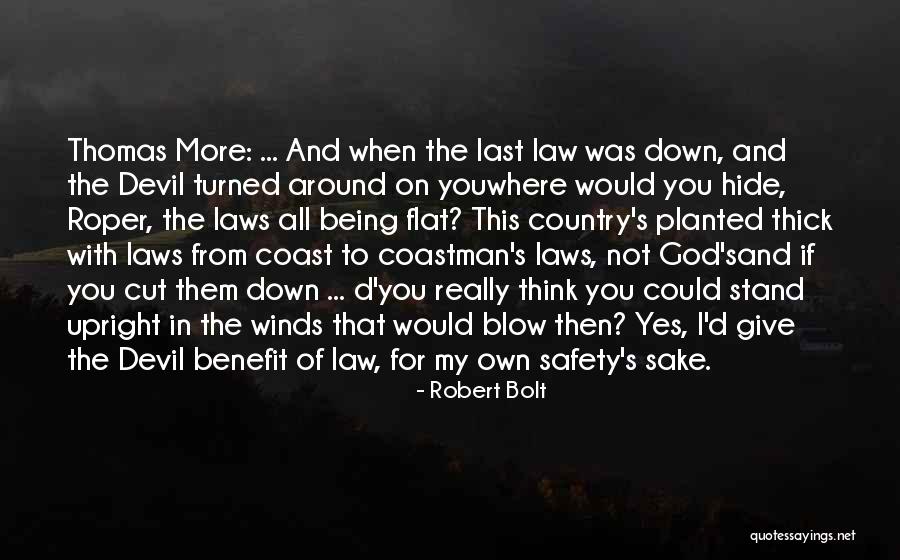 From Where I Stand Quotes By Robert Bolt From Where I Stand Quotes By Robert Bolt
