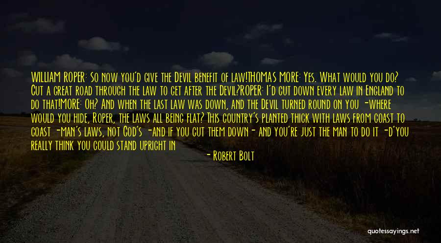 From Where I Stand Quotes By Robert Bolt From Where I Stand Quotes By Robert Bolt
