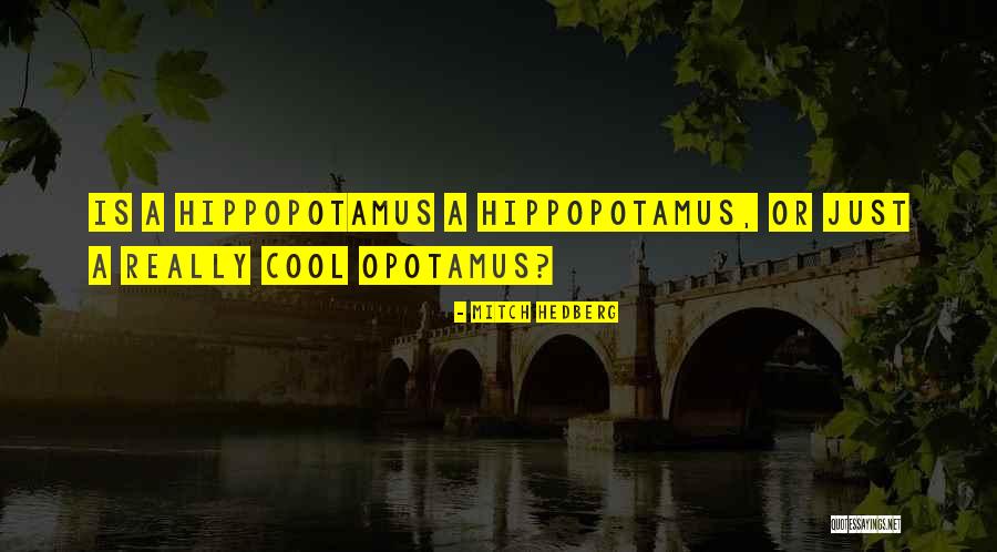Fronckowiak Obit Quotes By Mitch Hedberg Fronckowiak Obit Quotes By Mitch Hedberg