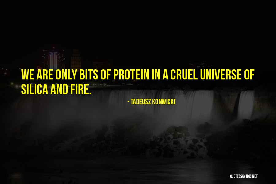 Fronde Quotes By Tadeusz Konwicki Fronde Quotes By Tadeusz Konwicki