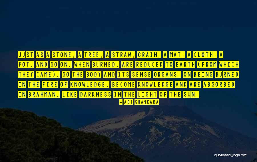 Froning Farms Quotes By Adi Shankara Froning Farms Quotes By Adi Shankara