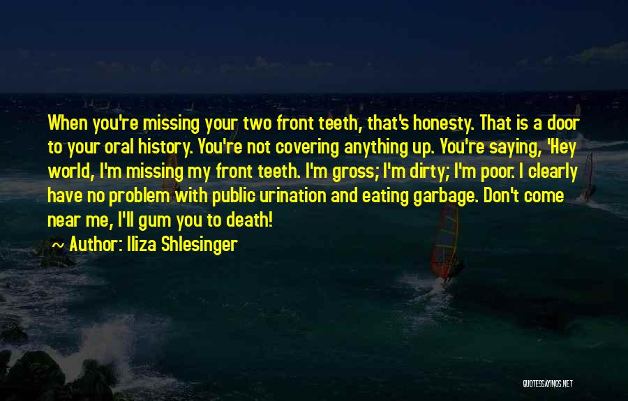 Front Doors Quotes By Iliza Shlesinger