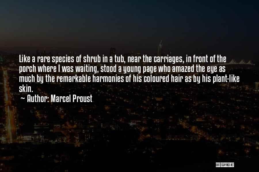 Front Porch Quotes By Marcel Proust